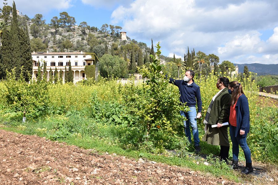 Mae de la Concha, consellera de Agricultura, y Aurora Ribot, consellera insular de Sostenibilidad, en Raixa