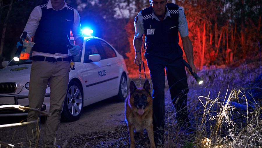 FOTO DESAPARECIOS 2 WEB