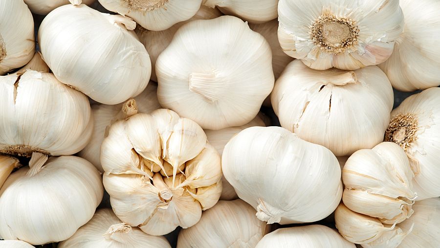 Los beneficios del ajo blanco