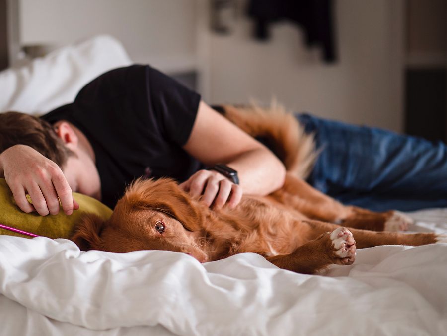 Una buena siesta