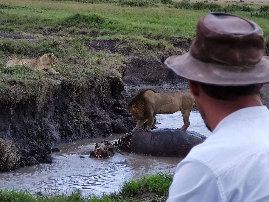 Wild Covid, pandemia salvaje': efectos del confinamiento en fauna africana