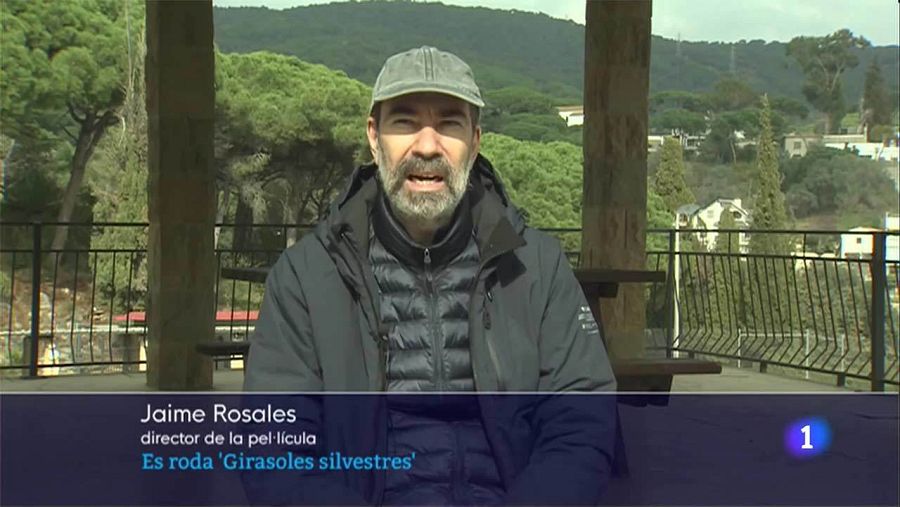 'Girasoles silvestres' és la setena pel·lícula de Jaime Rosales