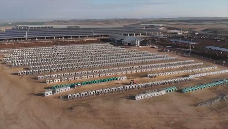 granja vacas caparroso