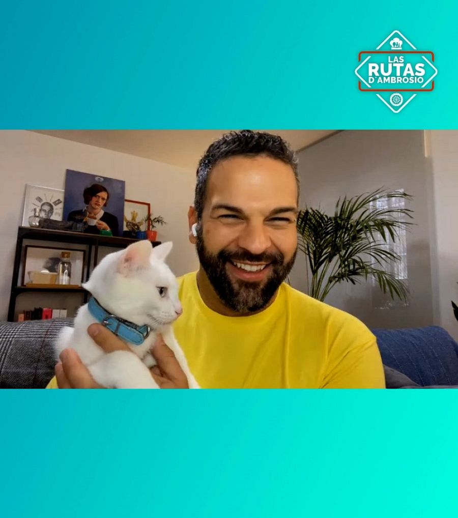 Tomás, el gato de Gonzalo d'Ambrosio