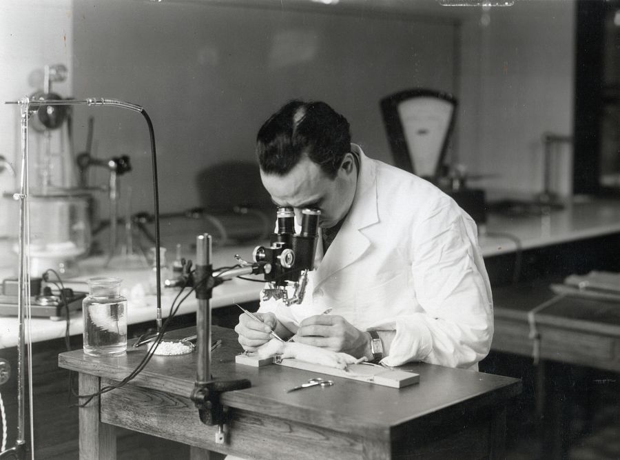 Antonio Chamorro en el laboratorio