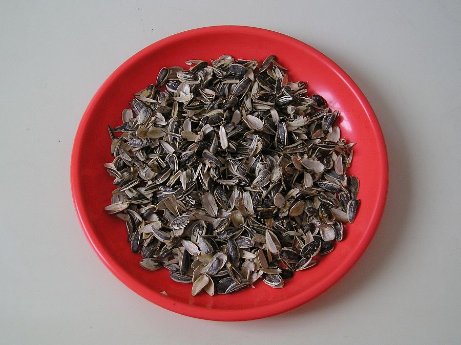 Plato de cáscaras de pipas