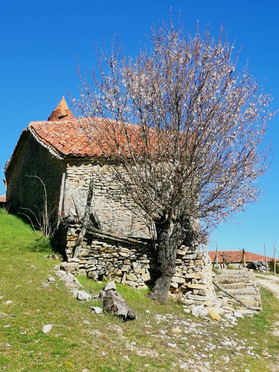 ¿Por qué tiene esa magia?