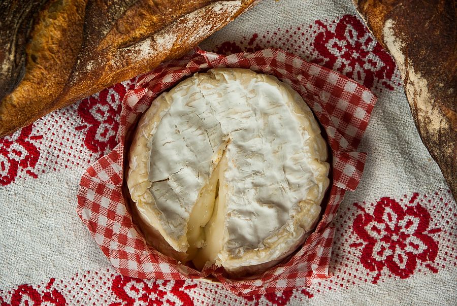 Queso camembert