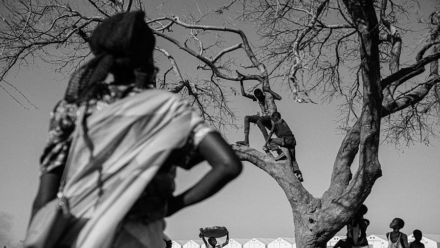 Niños jugando en un árbol en el campo de desplazados de Bentiu, en Sudán del Sur