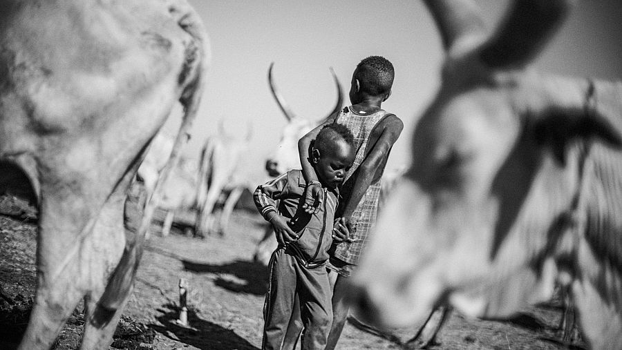 Dos niños que trabajan con el ganado de su familia a las afueras de Bentiu