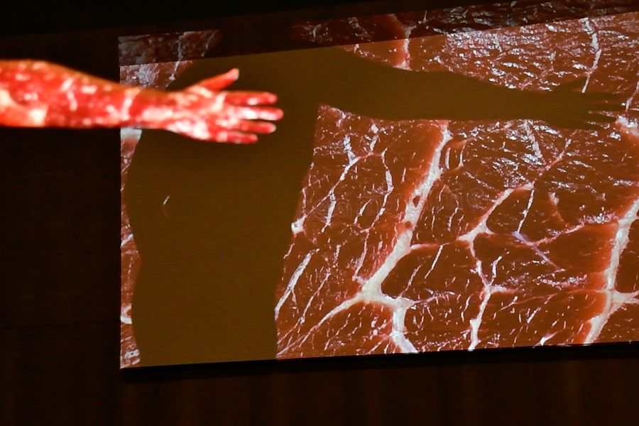 'Piel, carne de mi carne', obra de Generación 2021 en La Casa Encendida