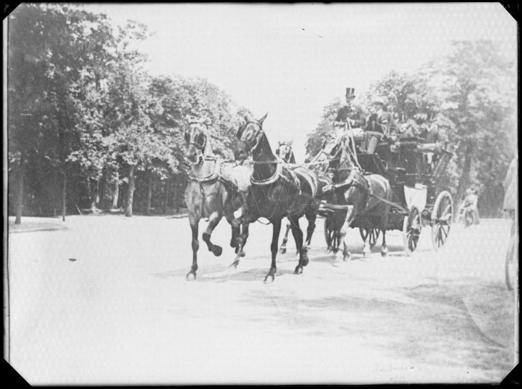 CARRUAJE TIRADO POR CABALLOS