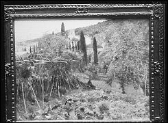 REPRODUCCION DE UN CUADRO