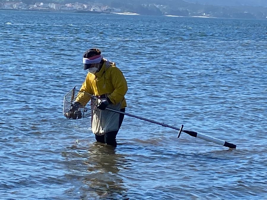 Mariscar, un oficio duro