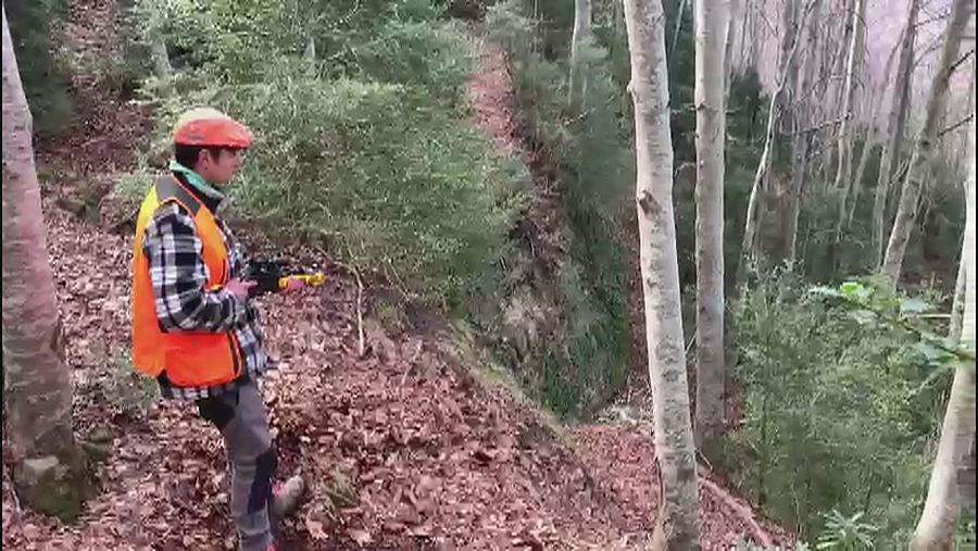 Un caçador durant una batuda de porcs senglars a Collserola