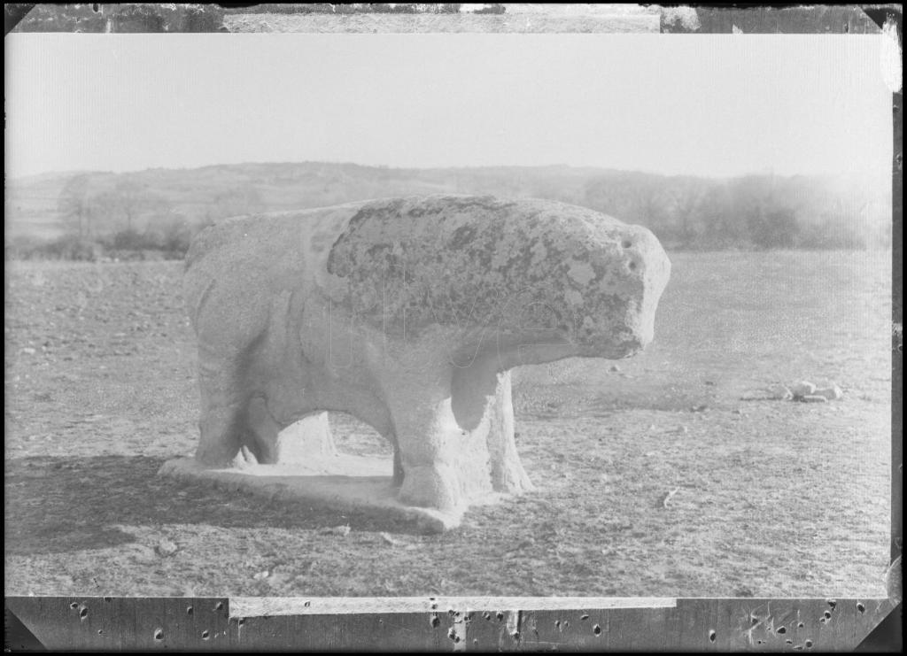 REPRODUCCION DE UNA FOTOGRAFIA DE UNA ESCULTURA DE UN TORO D