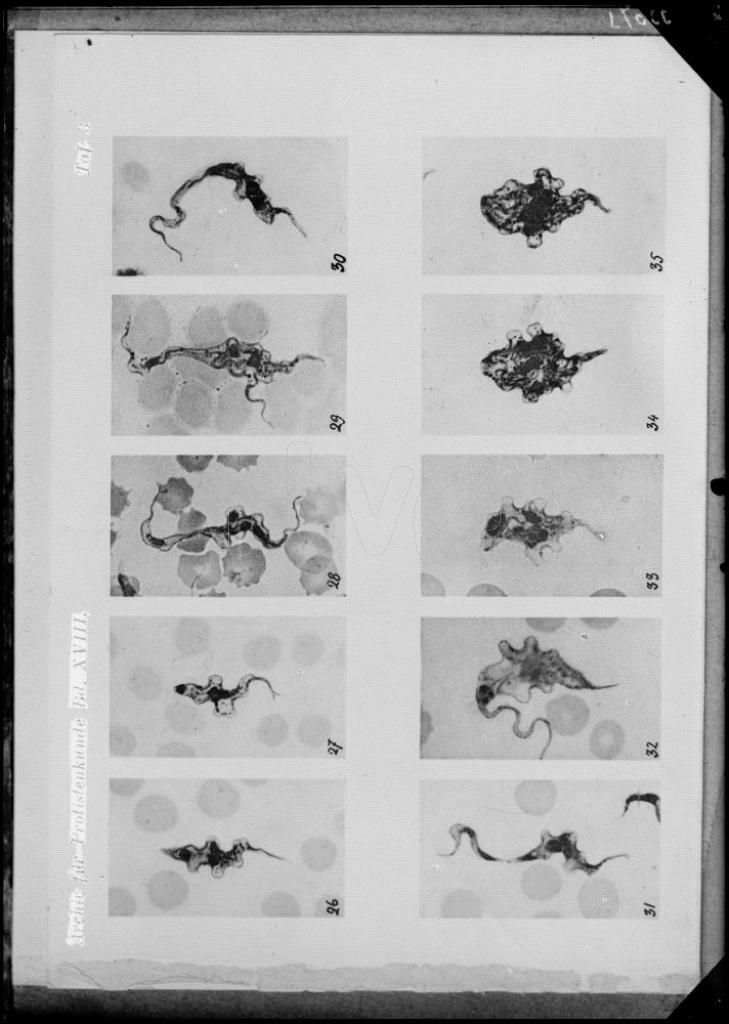 REPRODUCCION DE DIEZ PLACAS DE CIENCIA