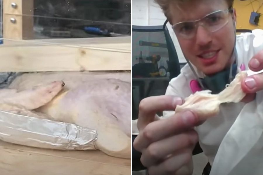 cocinar pollo a tortazos youtube youtuber