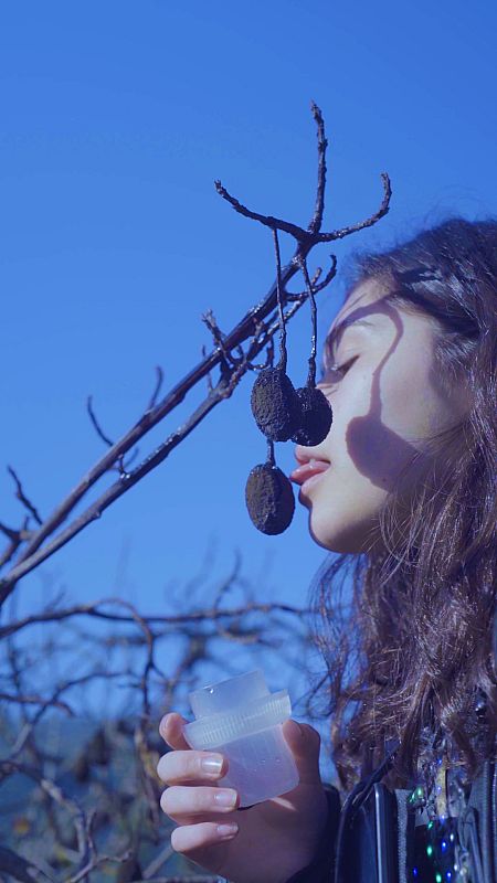 La balada de las sirenas secas de Patricia Domínguez