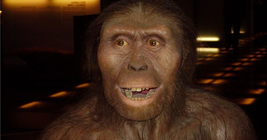Una recreación de cómo debía ser Lucy, la australopitecus que vivió hace 3,2 millones de años