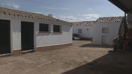 Las casas de Miraelrío tienen quinientos metros cuadrados de superficie