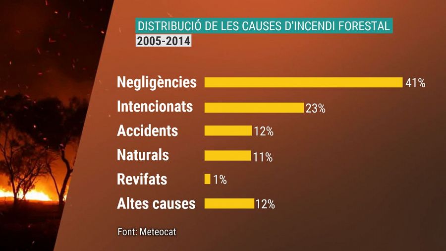 RTVE Catalunya