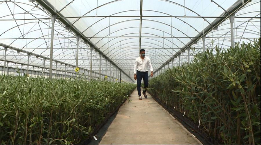 Agricultores ven cómo la mayoría de cultivos pertenecen a fondos