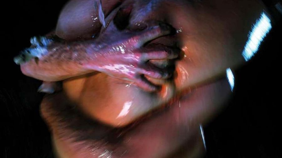 Afectos Disidentes - Teresa Rofer