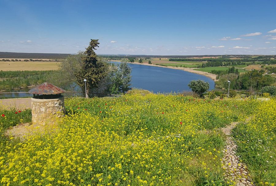 La Reserva Natural Riberas de Castronuño acoge 190 especies