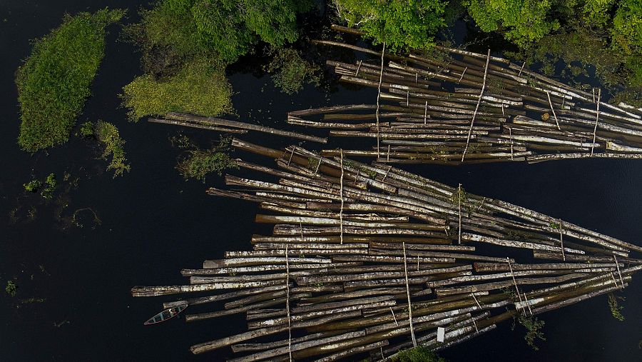 Foto aérea de archivo de troncos de madera incautados por la Policía Militar en el río Amazonas