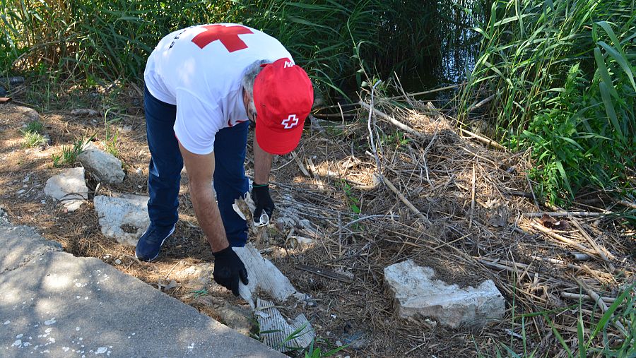 La iniciativa `Por una Albufera sin plásticos¿ trata de reducir el impacto de los desechos en el parque natural