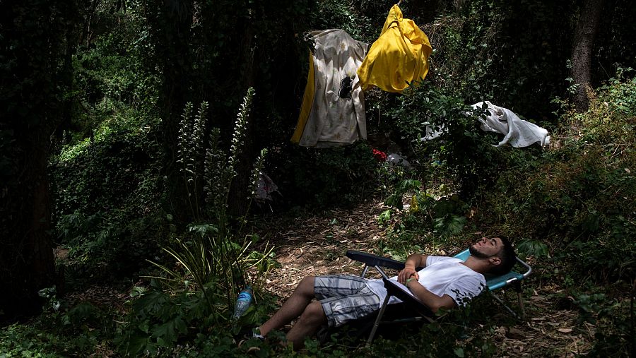 Tareq durmiendo en el bosque