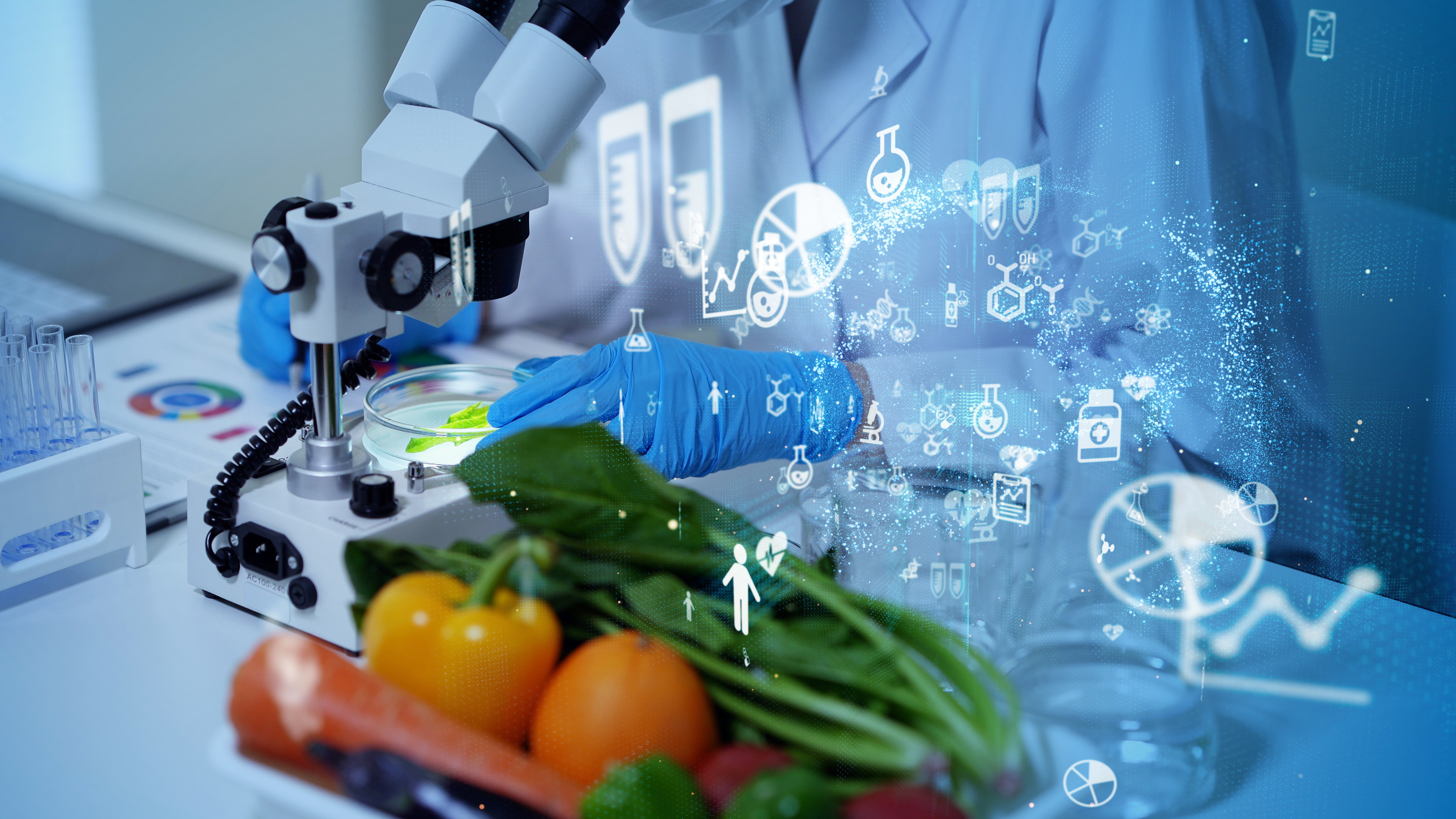 ¿Cómo Se Aplica La Investigación Científica A La Nutrición?