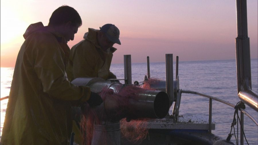 Los pescadores de Fornells recogen la primera red de langostas