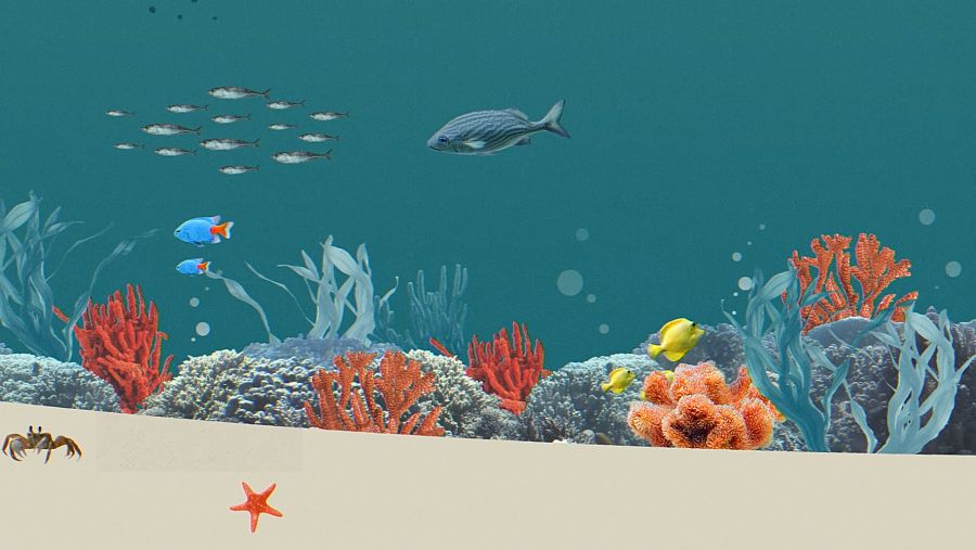 ¿Por qué nos debe preocupar la pérdida de coral?