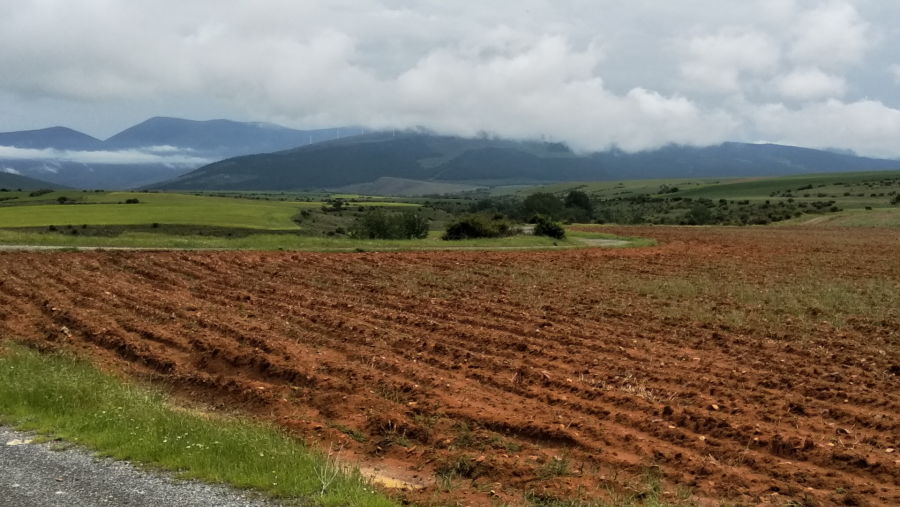 Terrenos donde se instalaría la hipervaquería