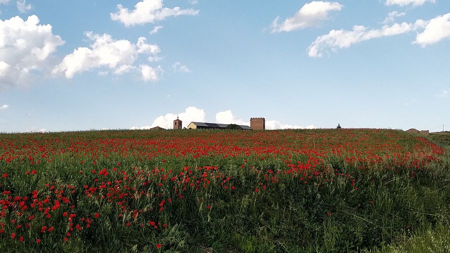 Vista del pueblo de Noviercas, en Soria