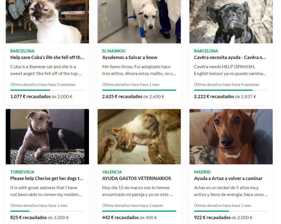 Campañas de recogidas de fondos para operaciones a animales de compañía