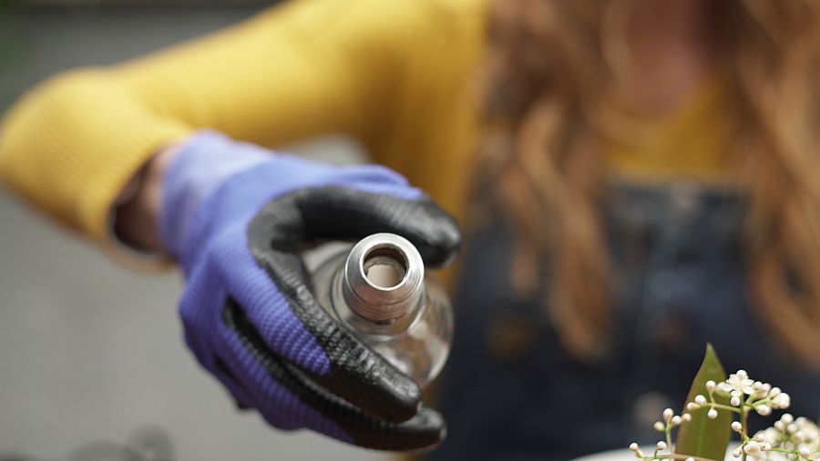 María Resuelve con María Castro - Sostenibilidad - Reutilizar bombillas gastadas