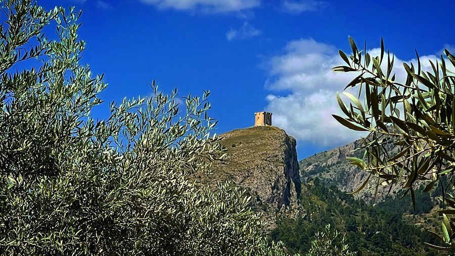Las circunstancias que concurren en esta comarca olivarera hacen que la mujer haya tenido históricamente un papel destacado