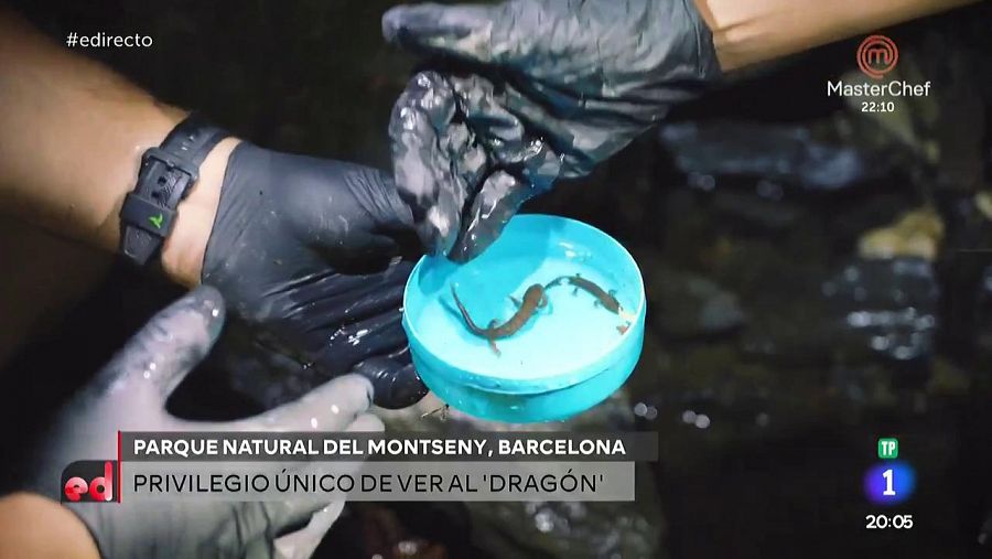 https://img2.rtve.es/im/5942950/?w=900