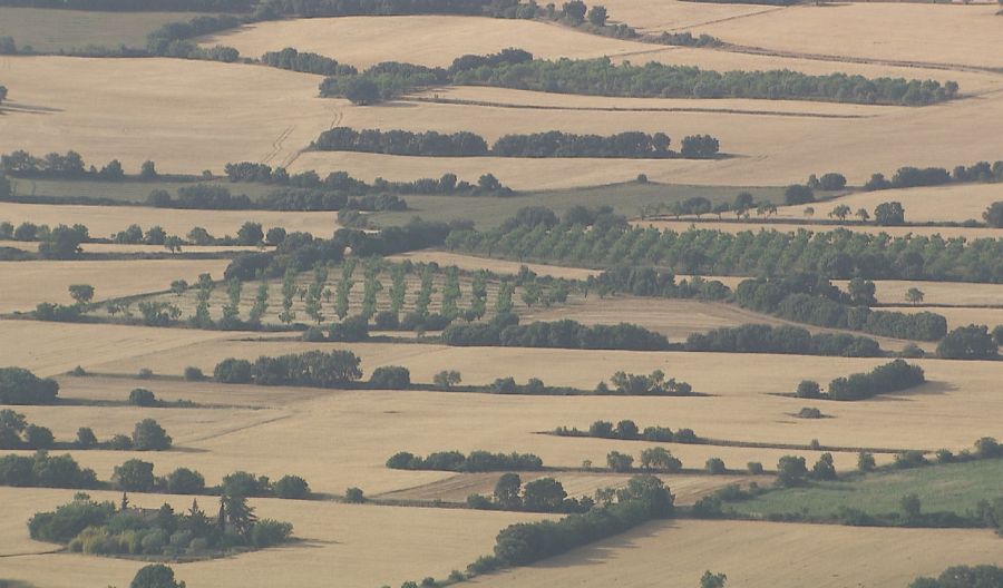 Cultivos en el valle de Àger