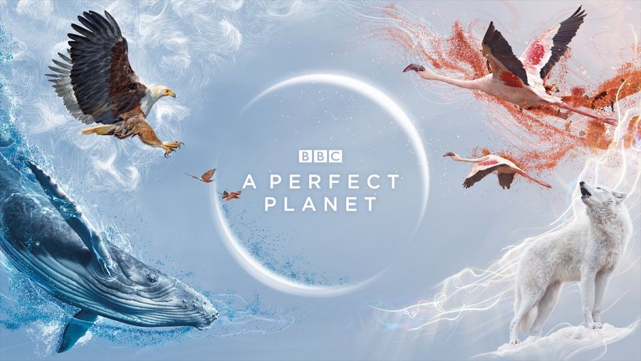 A Perfect Planet (BBC Studios Creative),