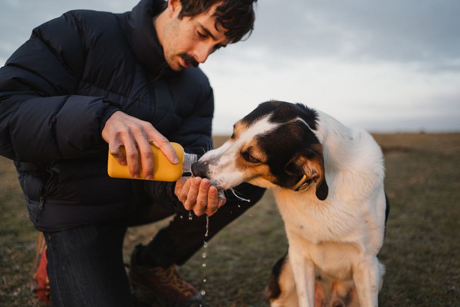 Le debemos dar agua dulce si vamos a la playa