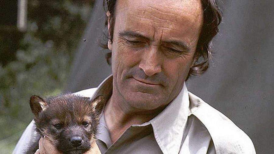 Félix Rodríguez de la Fuente con un cachorro de lobo