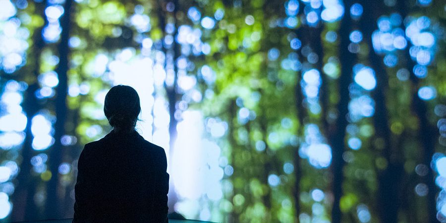 The Hambach Forest and the Technological Sublime (2019-2021)