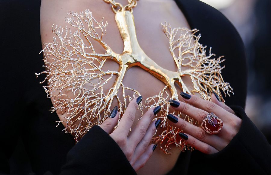 CANNES: ALFOMBRA ROJA DE LA PELICULA 