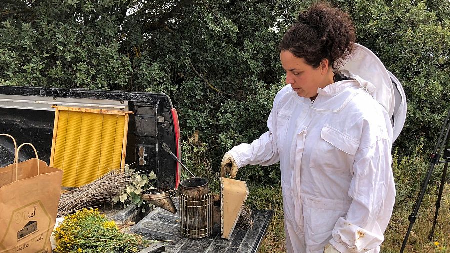  El día a día de un apicultor