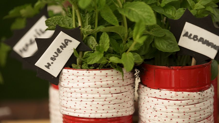 María Resuelve con María Castro - Jardinera en casa - Hierbas aromáticas - Recicla botes de conserva
