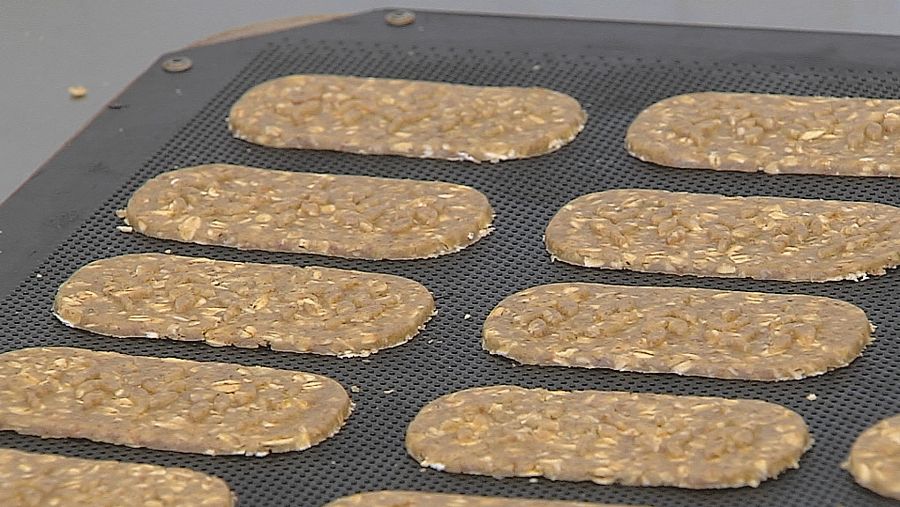 Galletas contra la malnutrición